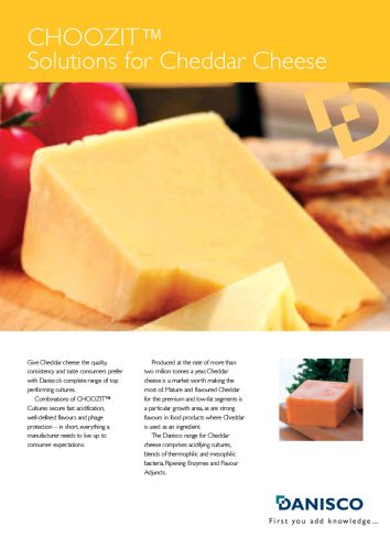 CHOOZIT® Cultures for Cheddar Cheese