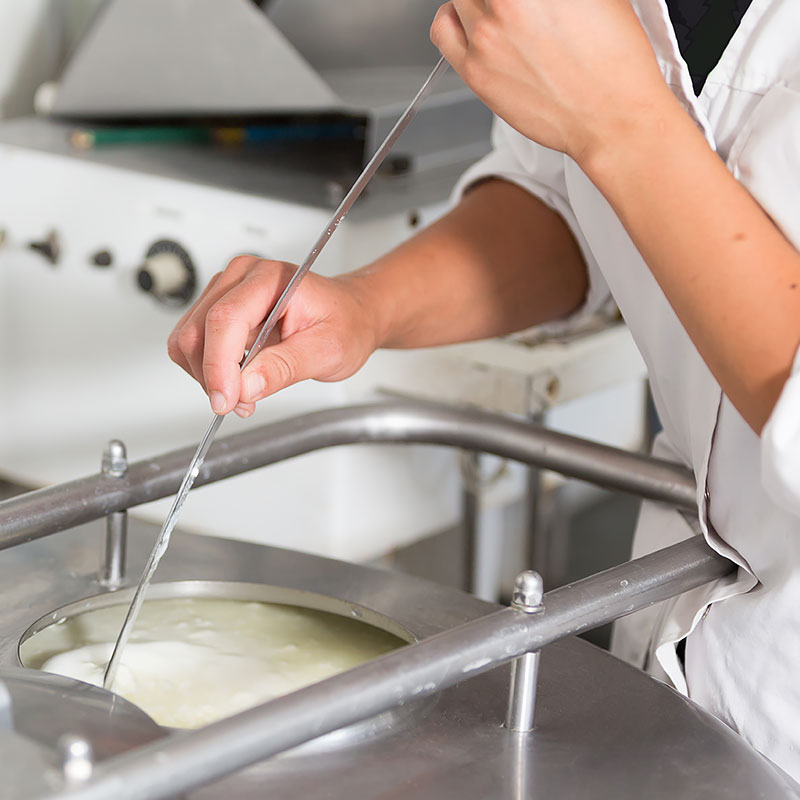Cheese making culture technical support