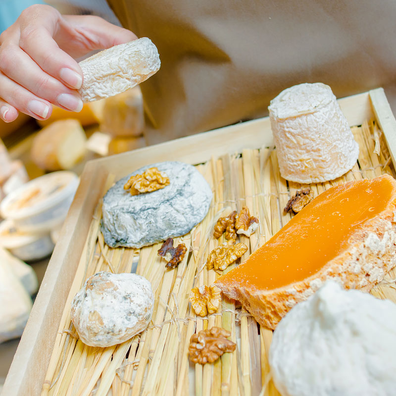 Cultures and Ingredients for Artisan and Domestic Cheese Makers