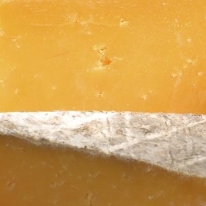 Coagulant in the production process of cheese