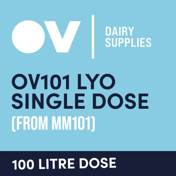 Cheese culture OV101 LYO single dose (from MM101) 100 Litre