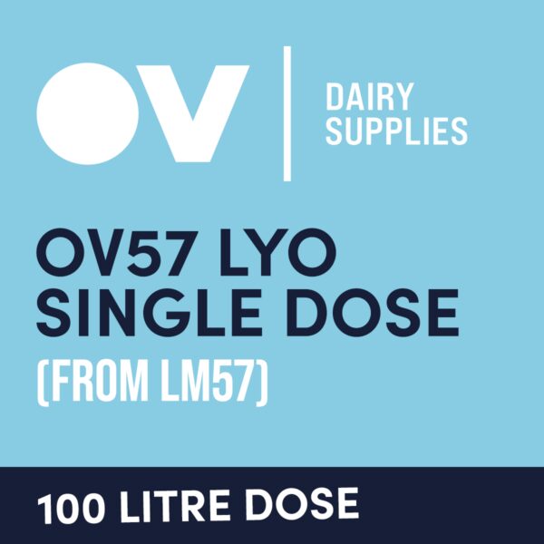 Cheese culture OV57 LYO single dose (from LM57) 100 Litre