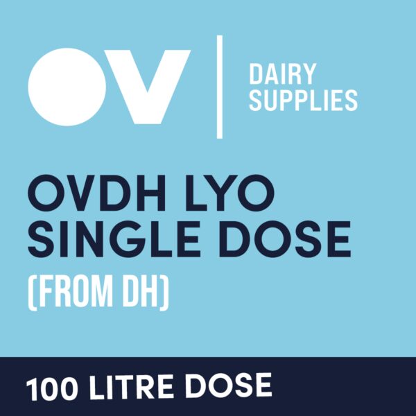 Cheese culture OVDH LYO single dose (from DH) 100 Litre