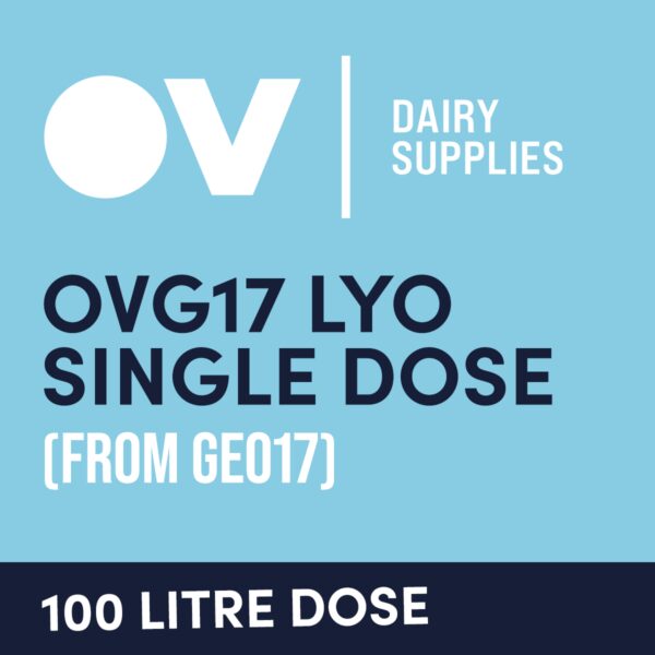 Cheese culture OVG17 LYO single dose (from GEO17) 100 Litre