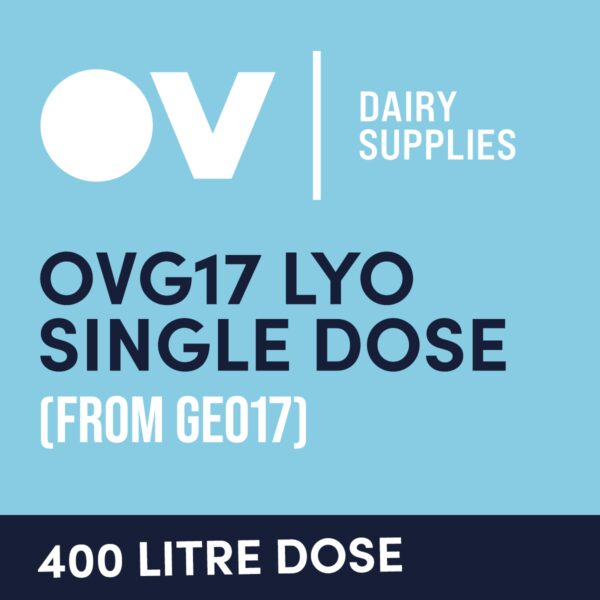 Cheese culture OVG17 LYO single dose (from GEO17) 400 Litre
