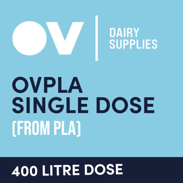 Cheese culture OVPLA single dose (from PLA) 400 Litre