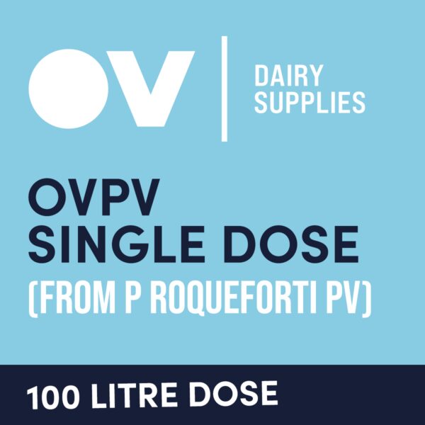 Cheese culture OVPV single dose (from P Roqueforti PV) 100 Litre